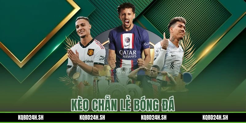 Kèo Chẵn Lẻ Bóng Đá – Cách Đọc Tỷ Lệ Và Dự Đoán Chính Xác