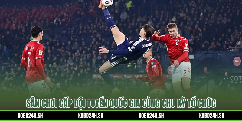 Chu kỳ lịch thi đấu bóng đá đội tuyển từ World Cup đến cúp khu vực