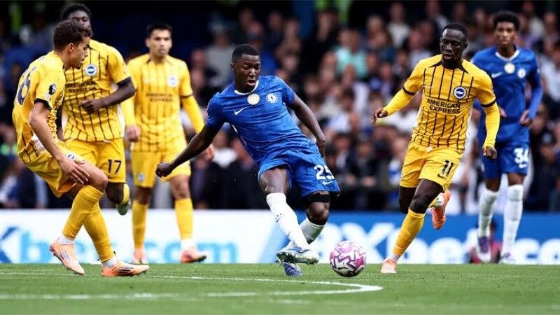 Chelsea tự tin đánh bại Brighton